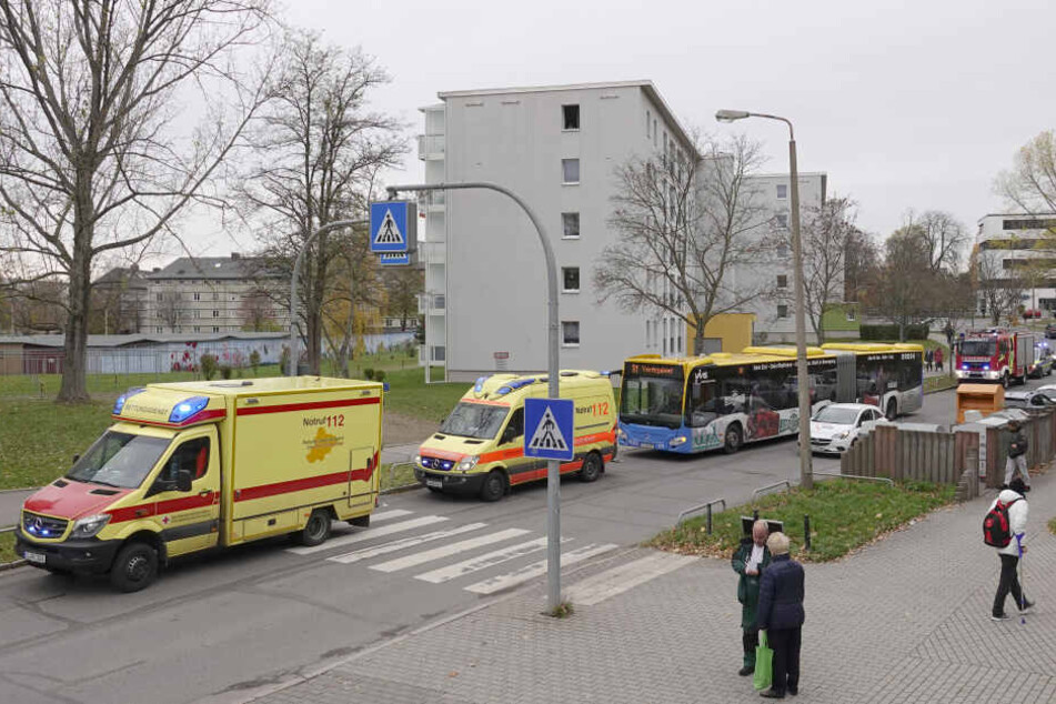 An diesem Zebrastreifen musste der Bus plötzlich bremsen.
