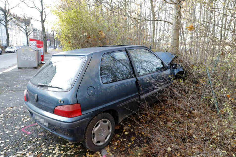 Der Peugeot kam an einem Baum zum Stehen.