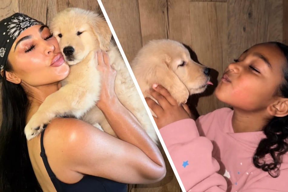 Tierische Überraschung: So süß kuscheln die Kardashians mit ihrem neuen Hund