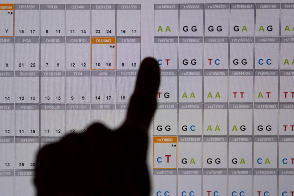 Das Ergebnis einer DNA-Sequenzanalyse (genetischer Fingerabdruck) ist im DNA-Labor des Bayerischen Landeskriminalamtes (LKA) auf einem Monitor zu sehen.