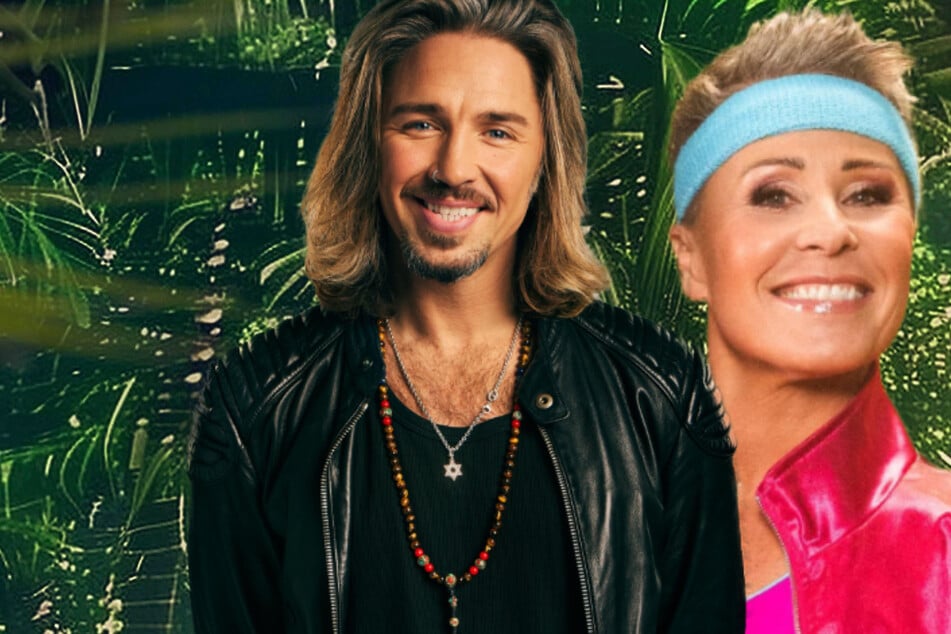 Dschungelcamp: Dschungelcamp im Ticker: Wegen Lügner Gil Ofarim "irgendwann mal die Kirche im Dorf lassen"