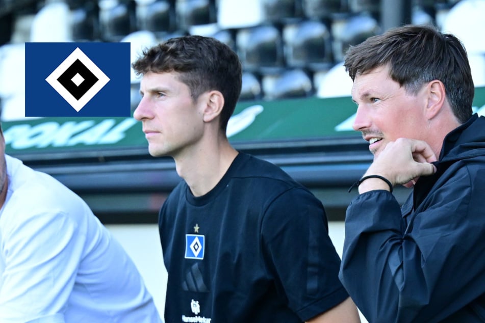 HSV beweist Vertrauen in den eigenen Plan: Co-Trainer Favé bekommt Sonderlob