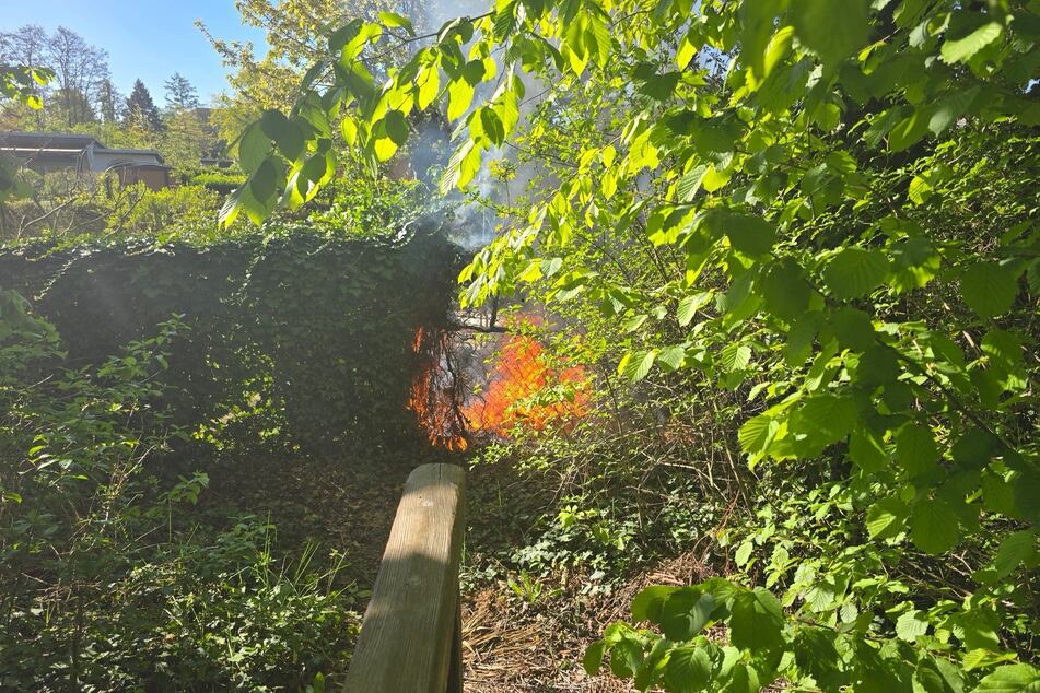 Die Feuerwehr konnte den Heckenbrand unter Kontrolle bringen.