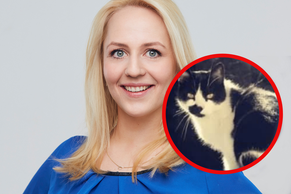 Noch immer wird Kater Felix schmerzlich vermisst.