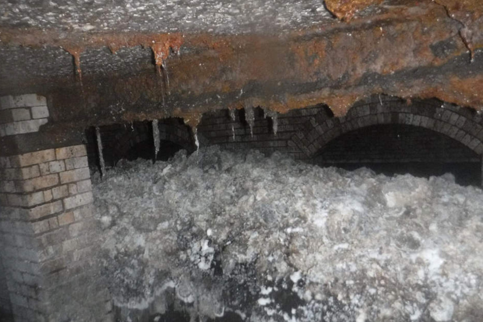 Das Ungetüm wurde in einer Kanalisation in der Nähe der Küstenstadt Sidmouth entdeckt.