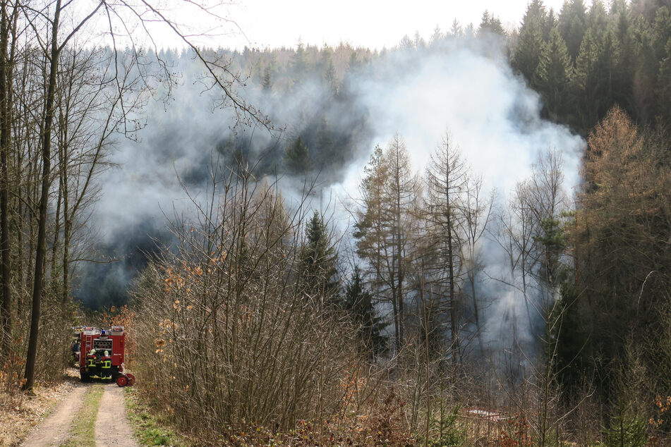 Am Muldentalradweg bei Aue stieg am Freitagnachmittag dichter Rauch aus dem Wald.