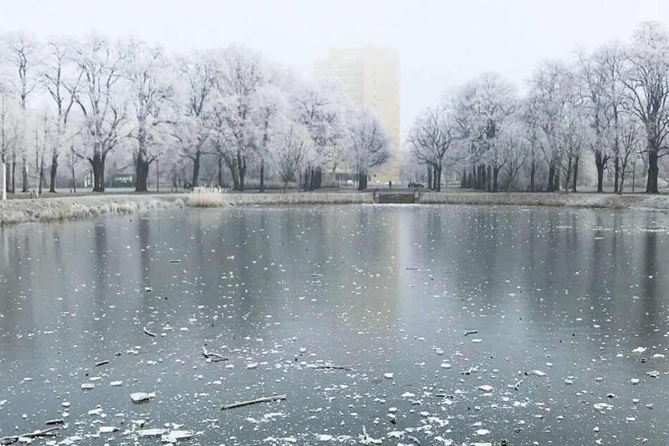 Der Schein trügt: Auch, wenn die Eisdecke dick genug aussieht, ist das Betreten hochgefährlich.
