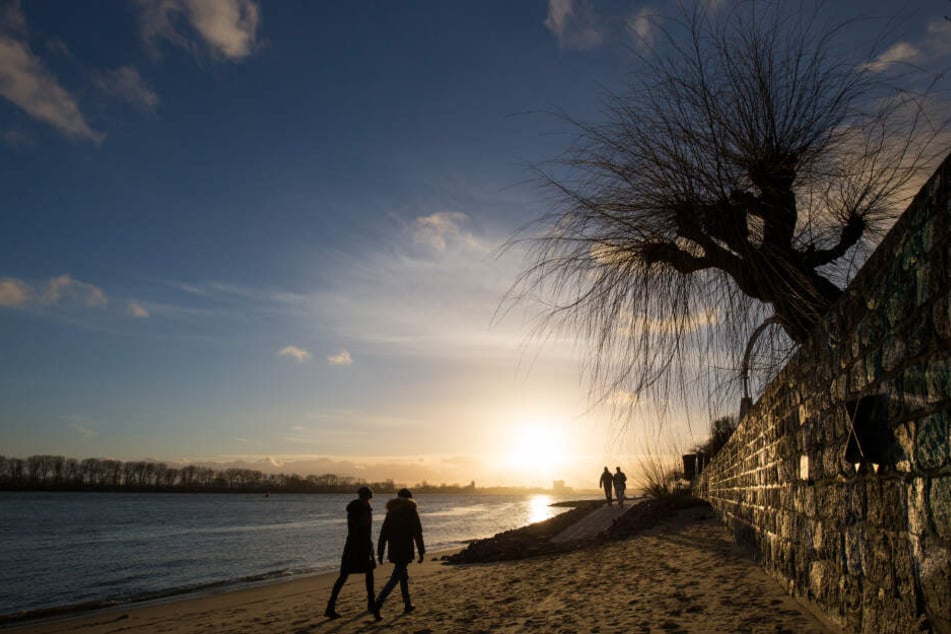 Der Elbstrand in Hamburg ist zu jeder Jahreszeit einen Besuch wert!