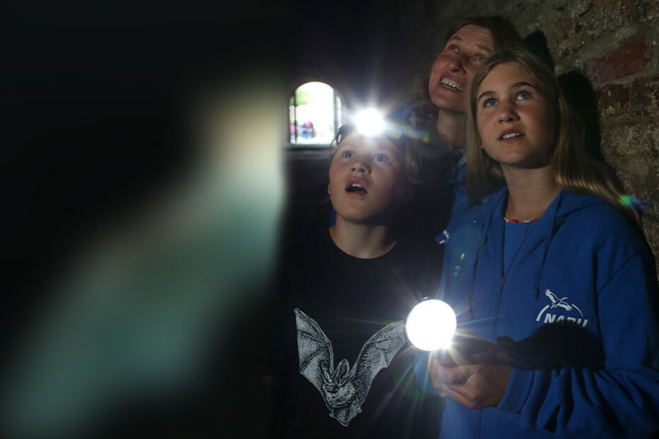 Im Landkreis Zwickau geht's zur Nacht der Fledermäuse mit der Taschenlampe auf Entdecker-Tour zum Kleinen Filzteich.