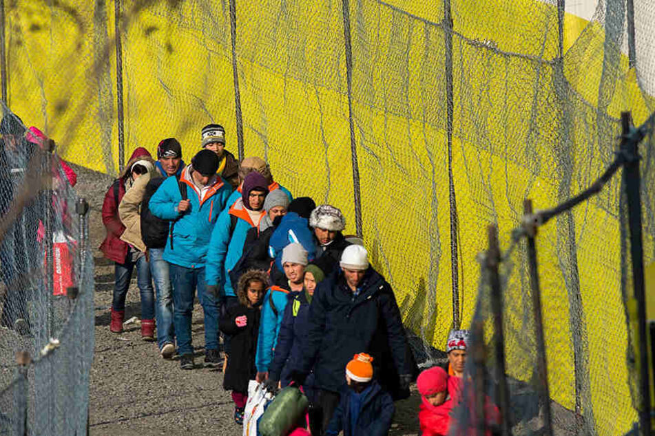 Bei der "mittleren Zuwanderung" würde sich die Zahl der Muslime in Europa verdoppeln.