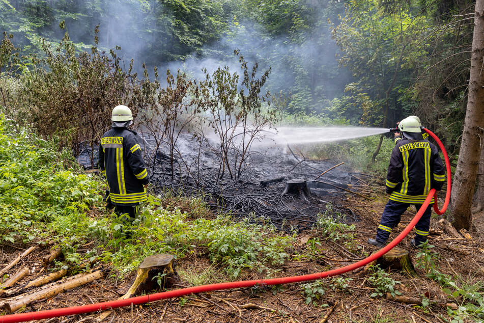 Feuerwehreinsatz im Vogtland: Erneuter Waldbrand in Falkenstein