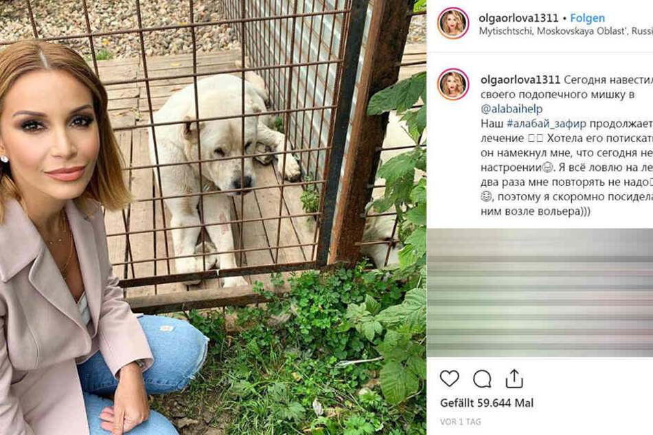 Olga Orlova besuchte den Hund kürzlich und postete ein Foto davon auf Instagram.