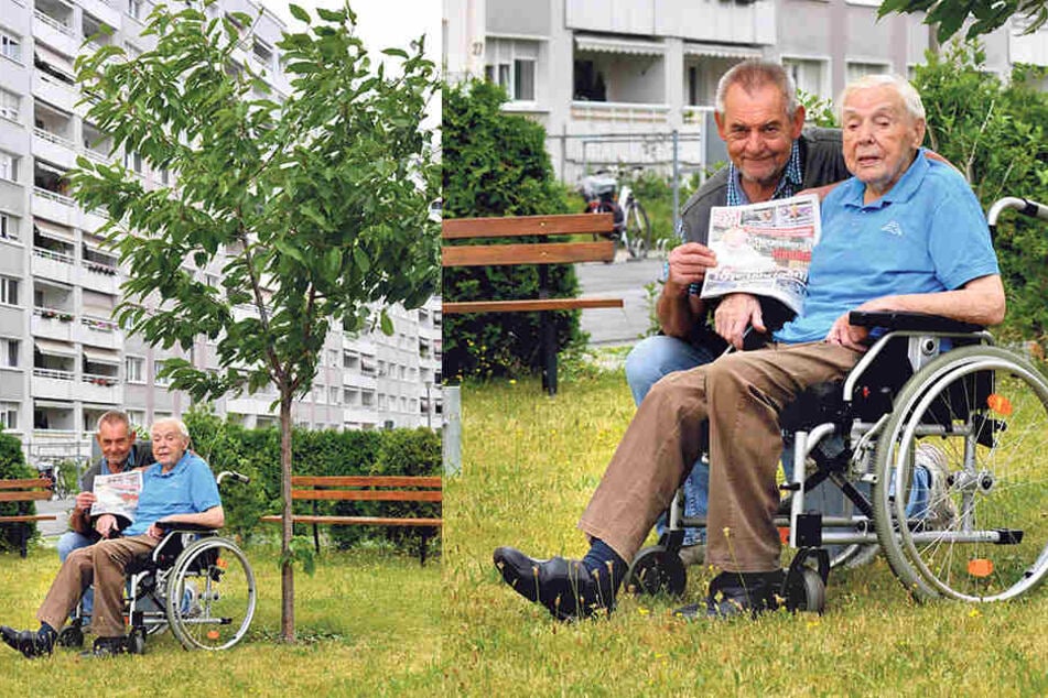Wieder glücklich: Richard Vogel mit Sohn Ralf (66) vorm Kirschbaum in der
Johannstadt, den der Greis selbst pflanzte.