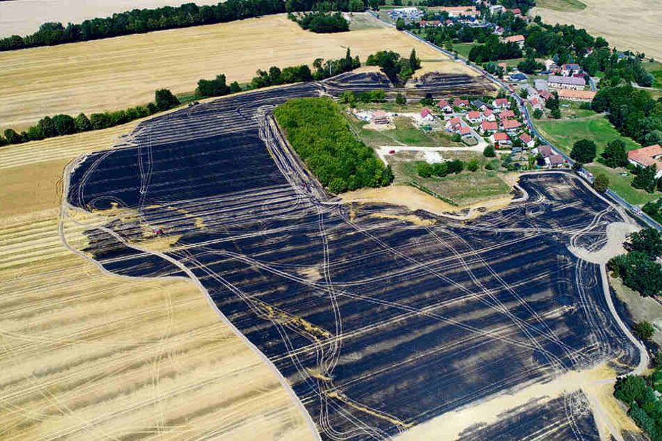 Großalarm an der Rothenburger Landstraße in Ludwigsdorf: Rund 100 Feuerwehrleute kämpften gegen die Flammen, die sich über sieben Hektar Feld ausbreitete.