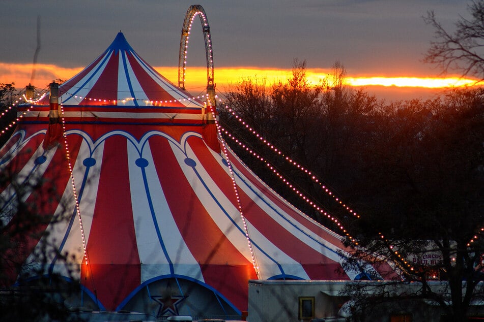 Der Circus Charles Monroe aus Köln bangt nach dem Brand eines Lkw in der Nacht zu Samstag um die finanzielle Existenz. (Symbolbild)
