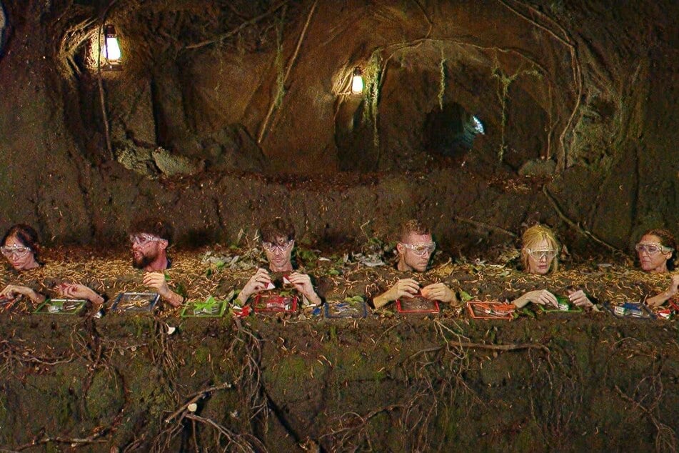 Die sechs Busch-Promis erspielen nur zwei Sterne.