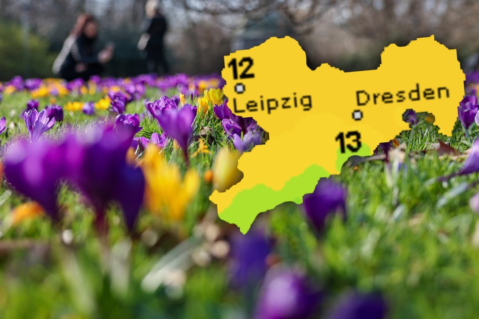 Erstes März-Wochenende in Sachsen: Der Frühling sagt Hallo!