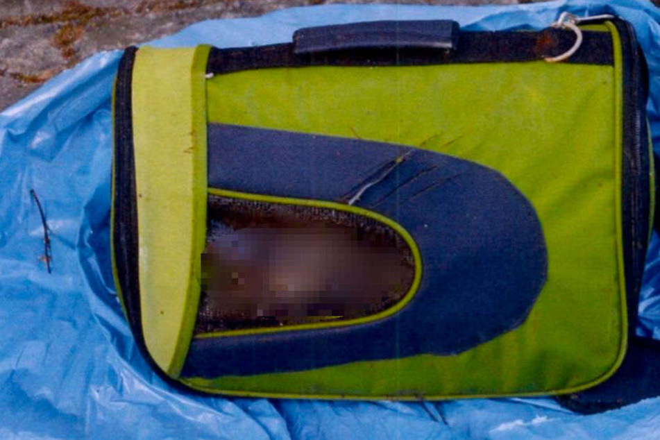 In dieser Tragetasche für Tiere wurde die leblose Katze entdeckt.