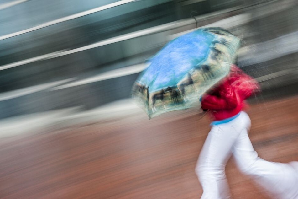 Wird in den nächsten Tagen definitiv gebraucht: Ein Regenschirm!