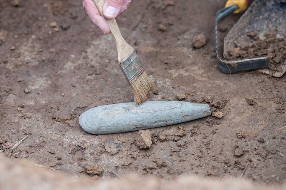 Eine Grabungstechnikerin gräbt aus einem 7000 Jahre alten Grab eine Beil-Spitze aus Stein aus, die damals von den Angehörigen als Grabbeigaben mit in die Gräber gelegt wurden