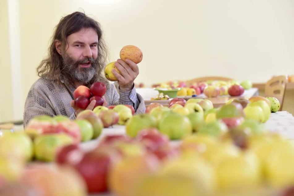Obstbauer Reiner Amme (50) setzt sich für einen Bürgermarkt
mit Obst aus den Chemnitzer Gärten ein.