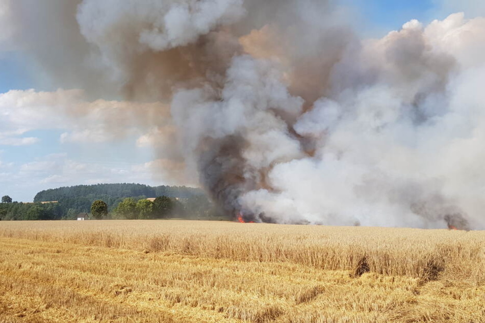 Zehn Hektar Feld brannten ab.