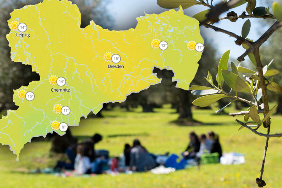 Blauer Himmel und viiiiiel Sonnenschein: Sachsen steht ein absolutes Traum-Wochenende bevor!