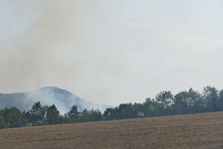 Auch aus der Ferne konnte man den Waldbrand beobachten.