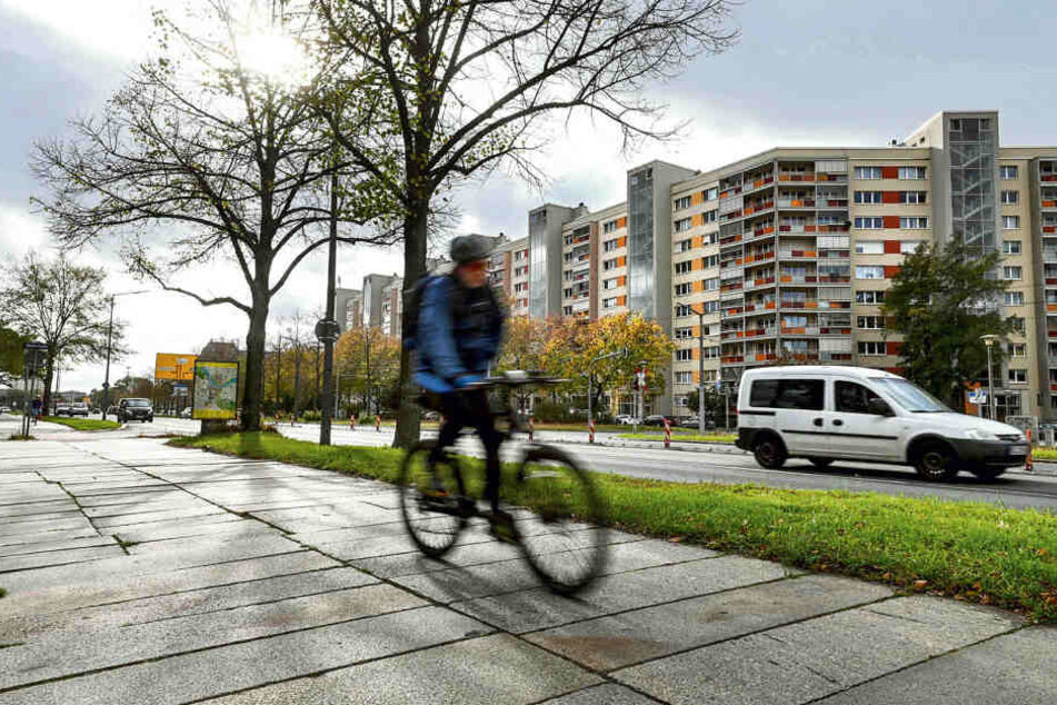 Radfahrer müssen sich aktuell den holprigen Weg mit Fußgängern teilen.