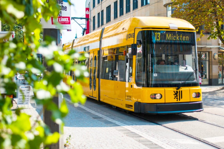 Das sollte jeder wissen, der in Dresden Bus und Bahn fährt