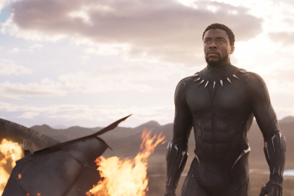 Über die kuriosen Einträge der USDA wäre sicher auch Black Panther selbst verwirrt.