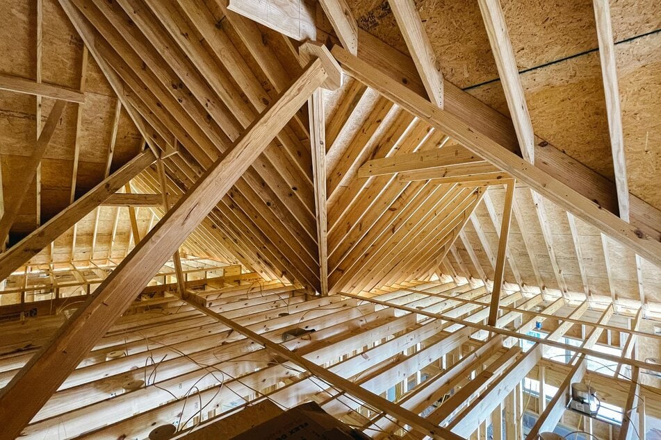 Hausbocklarven fühlen sich in feuchten und warmen Dachstühlen aus Nadelholz besonders wohl.
