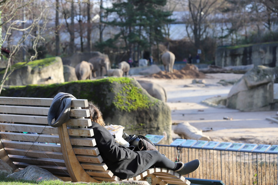 Der Kölner Zoo wird Jahr für Jahr von rund einer Million Menschen besucht.
