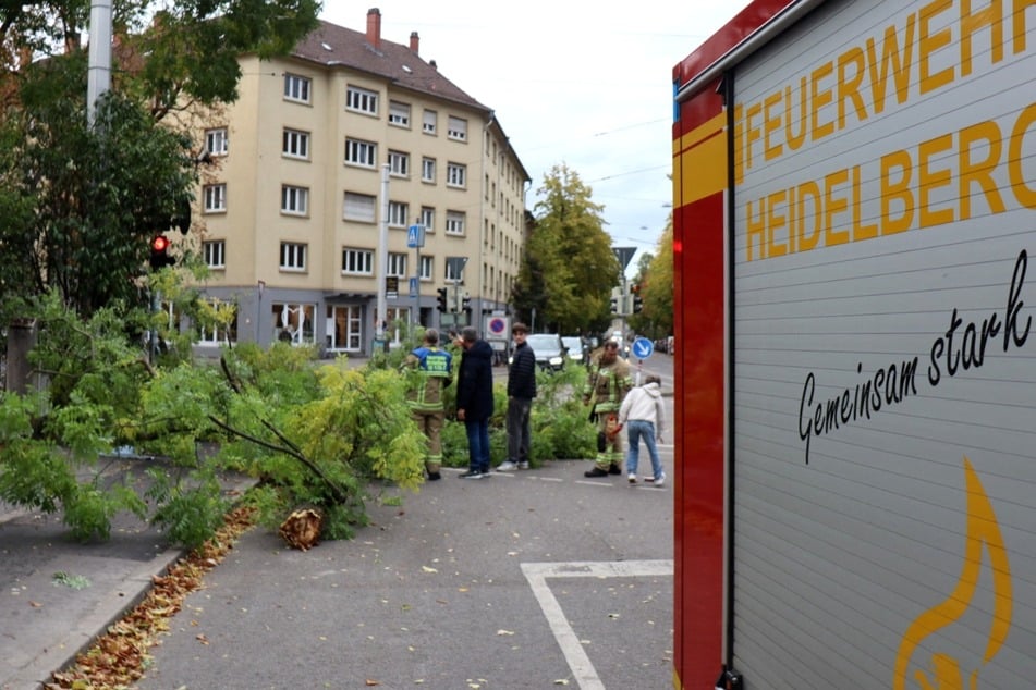In Heidelberg mussten Feuerwehrkräfte einen umgestürzten Baum beseitigen.