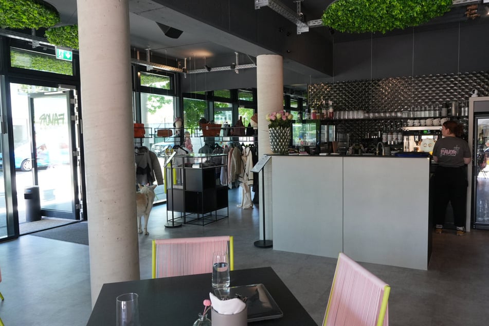 Franka Hornauer hat ihr Lokal selbst dekoriert. Der Außenbereich vereint viel Glas und Beton, weshalb das Café als urbane Oase mit ins Bild passen sollte.