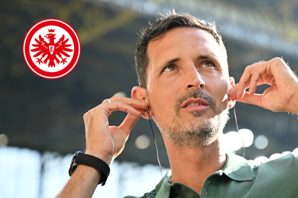 Toppmöller träumt vom Dreiersturm: Kommt jetzt die neue Eintracht-"Büffelherde"?