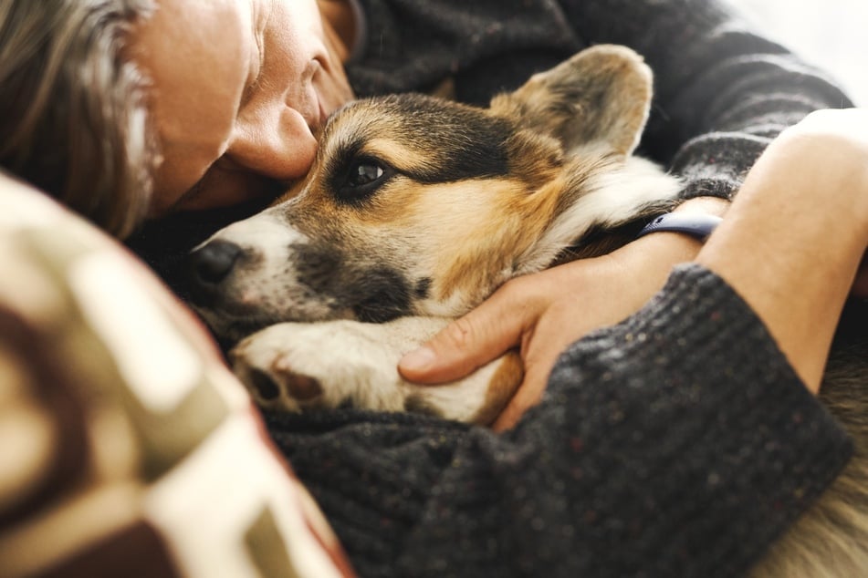 Kontaktliegen löst bei Hund und Mensch eine Ausschüttung von Glückshormonen aus.