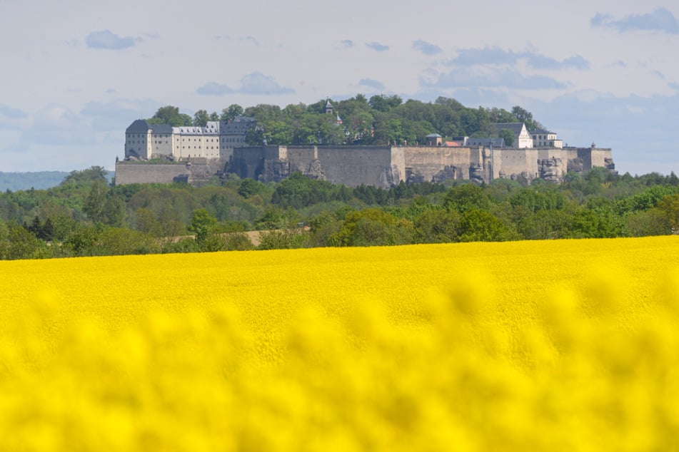 Auf der Festung Königstein in der Sächsischen Schweiz wird Spaß großgeschrieben.