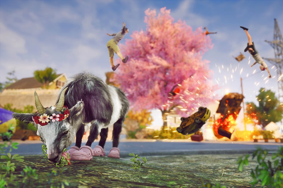 Cool goats don't look at explosions...