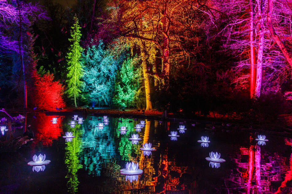 In den prächtigsten Farben wird ab Donnerstagabend wieder der Schlosspark Pillnitz erstrahlen.