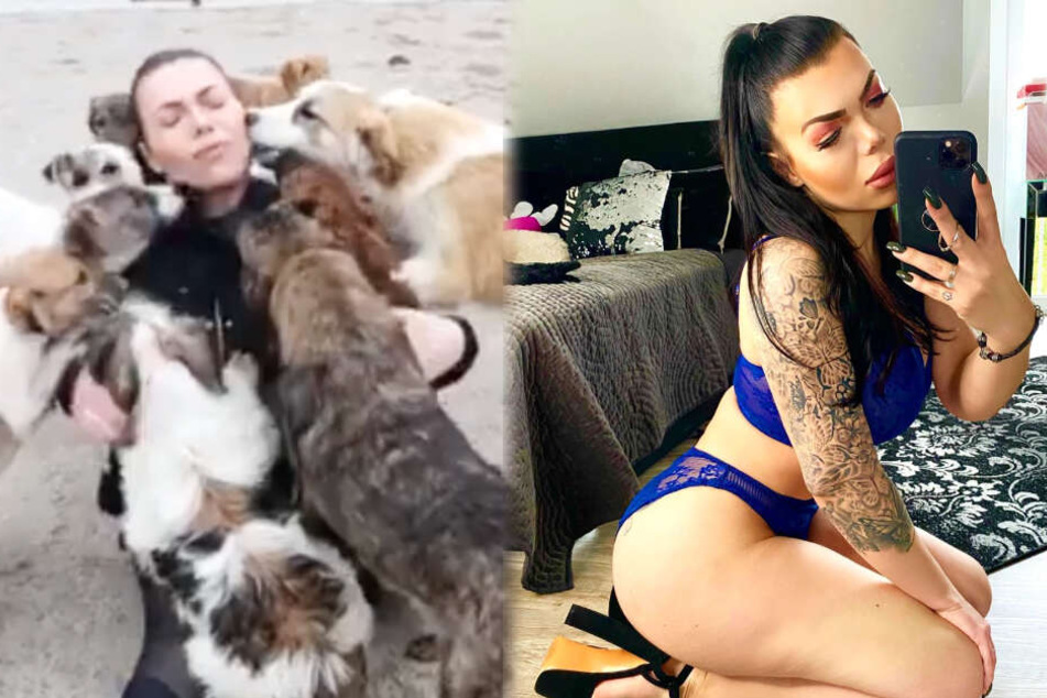 "Die essen mich!" Sexy Influencerin von Hunden überrannt