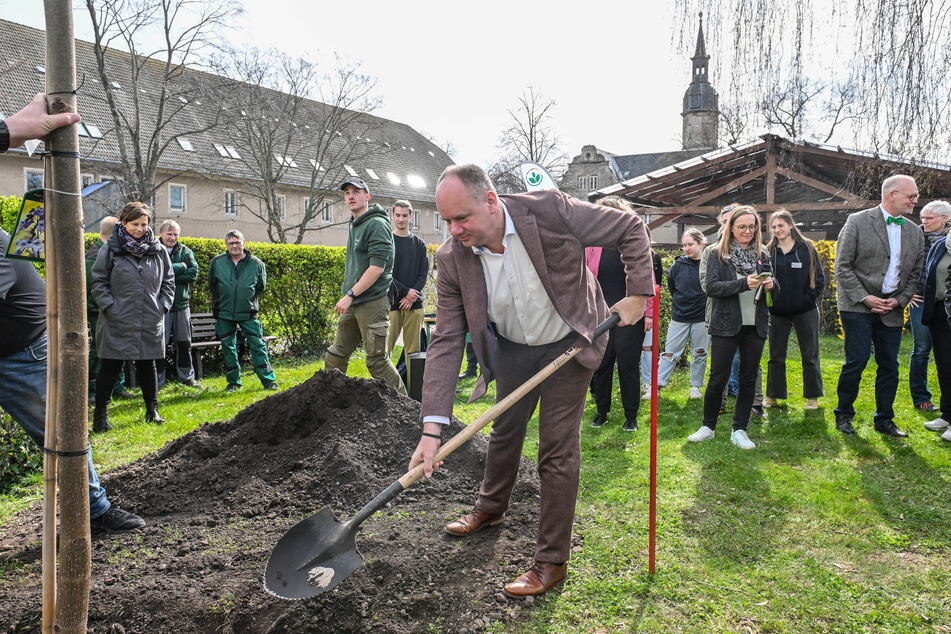Während am OVG in Bautzen auch über seine Zukunft (als Oberbürgermeister) verhandelt wurde, pflanzte OB Dirk Hilbert (52) am Dresdner Berufsschulzentrum für Agrarwirtschaft und Ernährung einen Baum mit ein.