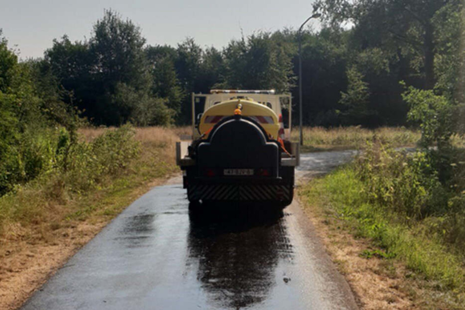 Vor allem in den Niederlanden, hier in Noordenveld, wird im Hochsommer gestreut. So sollen Hitzeschäden vermieden werden.