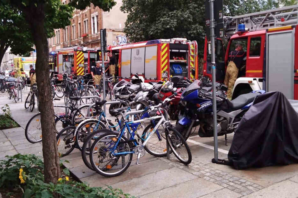 Großer Einsatz, kleiner Auftrag...