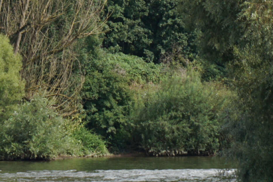Ein Rollstuhlfahrer ist in den Neckar gestürzt. (Symbolbild)