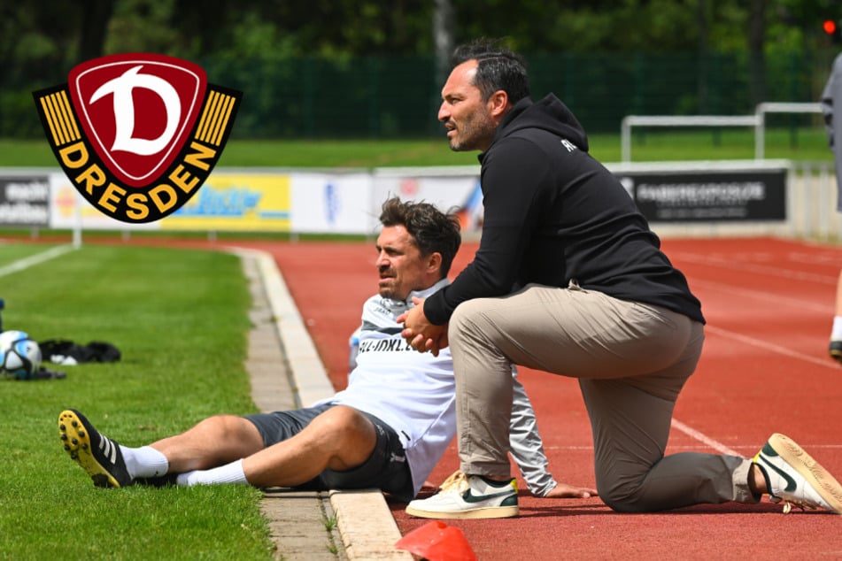 Noch einige Baustellen: Was sich bei Dynamo tun muss