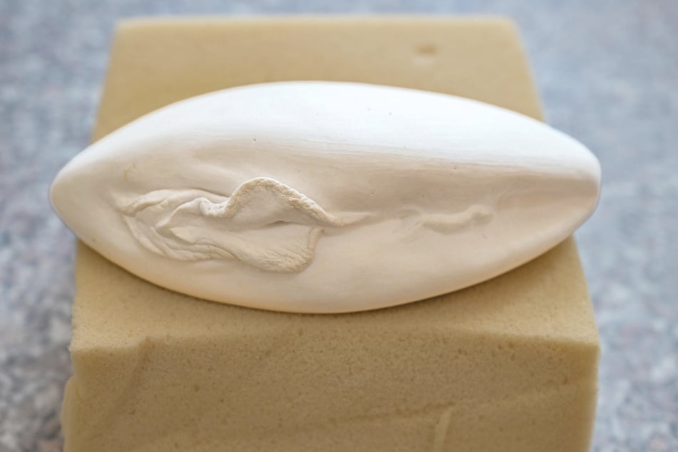 Pfirsich, Pfläumchen, Feige: Vulven haben viele Spitznamen. Hier eingearbeitet in einen Mangokern.