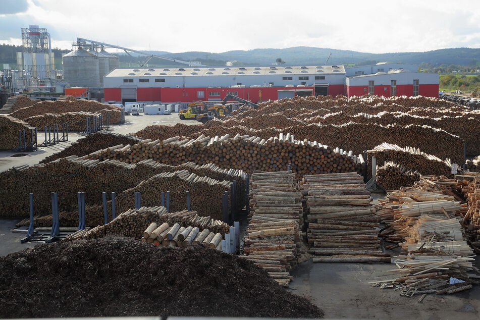 Die Oberlausitz setzt auf Holz: 1,2 Mio. Festmeter Holz verarbeitet das Sägewerk der HS Timber Group in Kodersdorf jährlich.