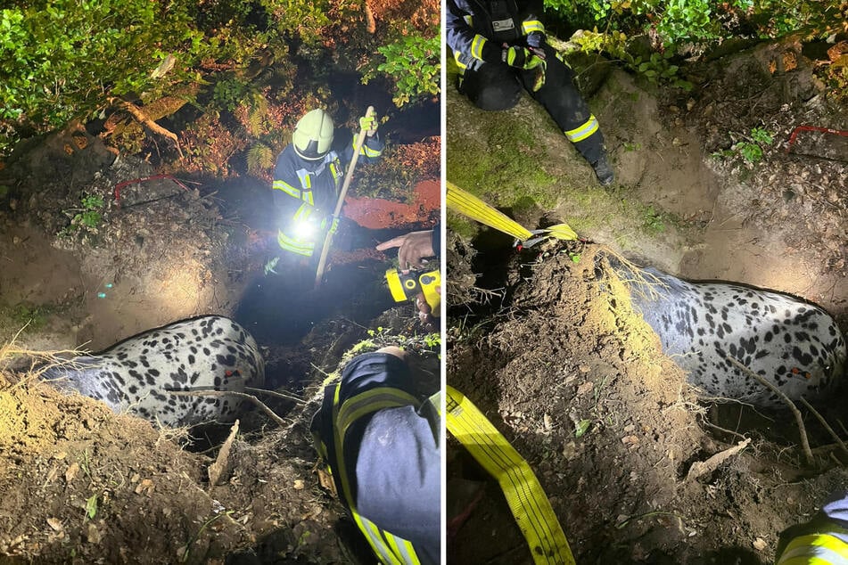 Der "Rückwärtsassistent" ist eine Technik, die die Einsatzkräfte der Feuerwehr Borgentreich zuvor erlernt haben.