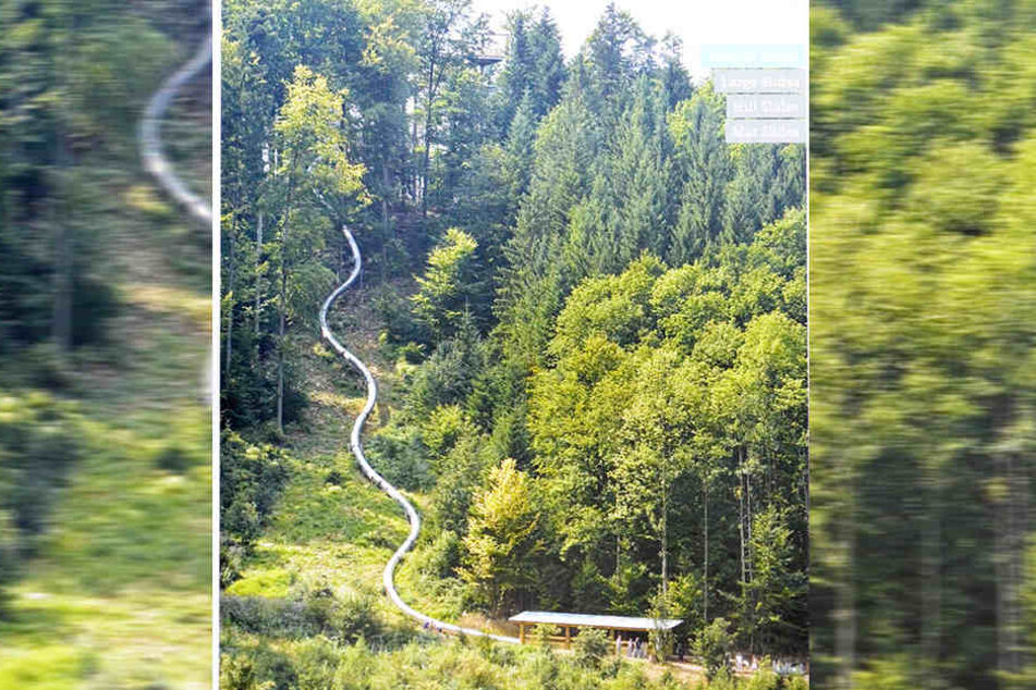 Ganze 186 Meter Rutschvergnügen! Europas längste Röhren-Rutsch-Partie gibt's am Baumkronenweg Waldkirch im Schwarzwald.
